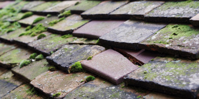 Newchurch roof repair costs